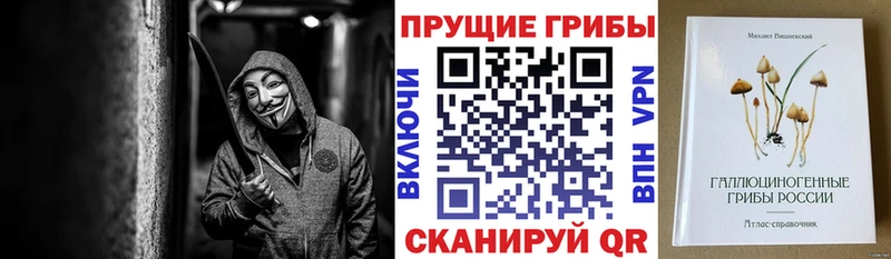 купить наркотик  мега ССЫЛКА  Галлюциногенные грибы Psilocybine cubensis  Рыбное 